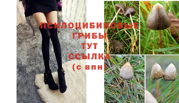 мяу мяу кристалл Горняк