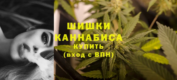альфа пвп Горнозаводск