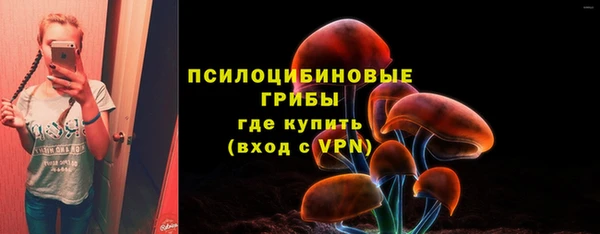 альфа пвп Горнозаводск