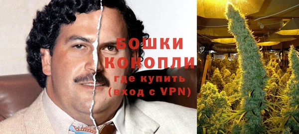 альфа пвп Горнозаводск
