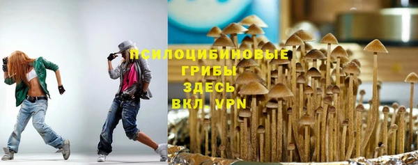 альфа пвп Горнозаводск