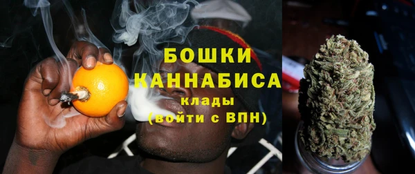 альфа пвп Горнозаводск