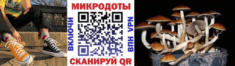 Купить где  Белозерск  Галлюциногенные грибы ЛСД 